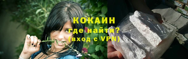 крисы Дмитриев