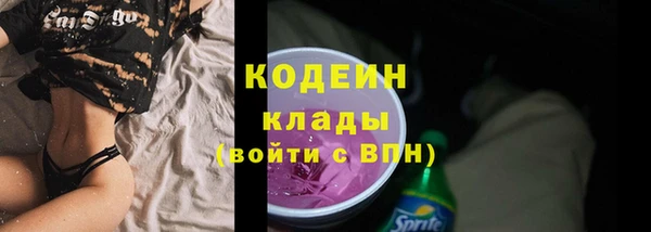 крисы Дмитриев