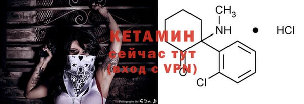 крисы Дмитриев