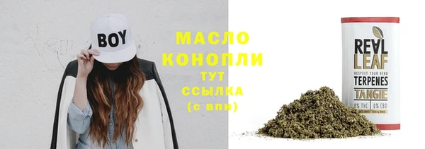 крисы Дмитриев