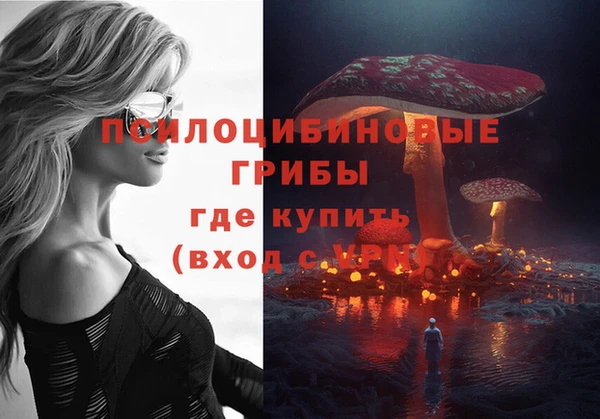 крисы Дмитриев