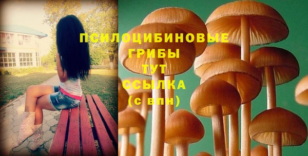 крисы Дмитриев