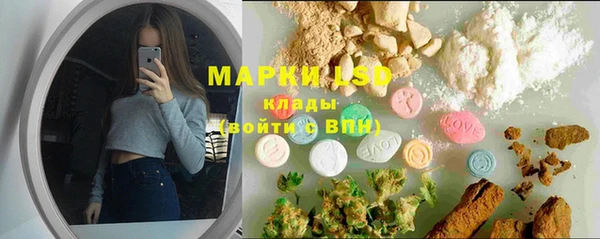 крисы Дмитриев