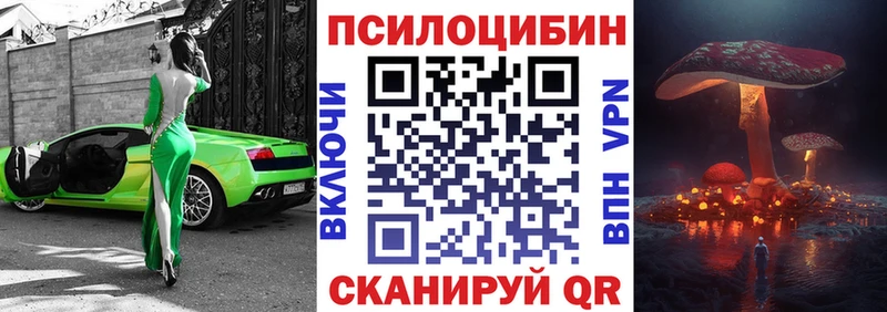 Псилоцибиновые грибы Cubensis  Купить  Кодинск 