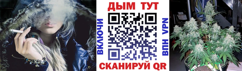 Купить  Кодинск  Бошки марихуана OG Kush 